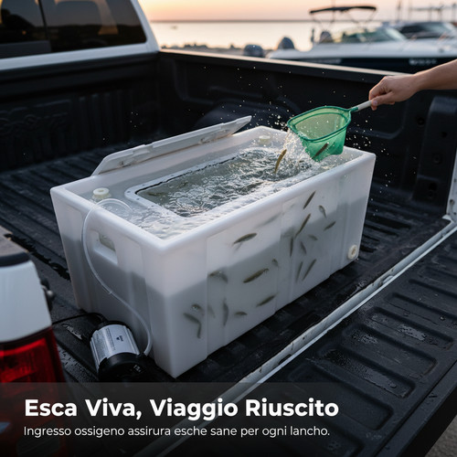 Vasca del vivo portatile - del,